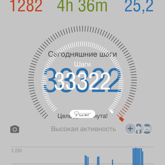 Елена СПб Фонтанка- мой стадион post 1