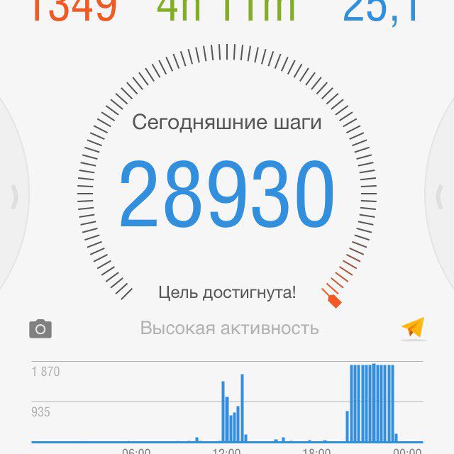 Елена СПб Фонтанка- мой стадион post 1