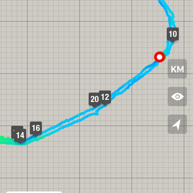 Елена СПб Фонтанка- мой стадион post 1