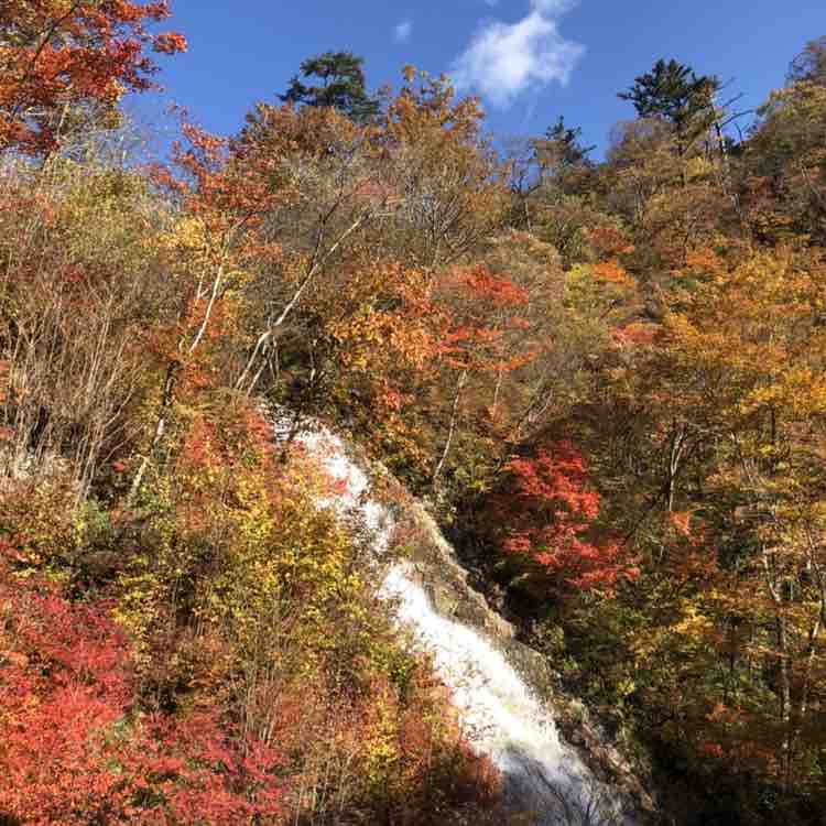 かずとし🏃 post 1