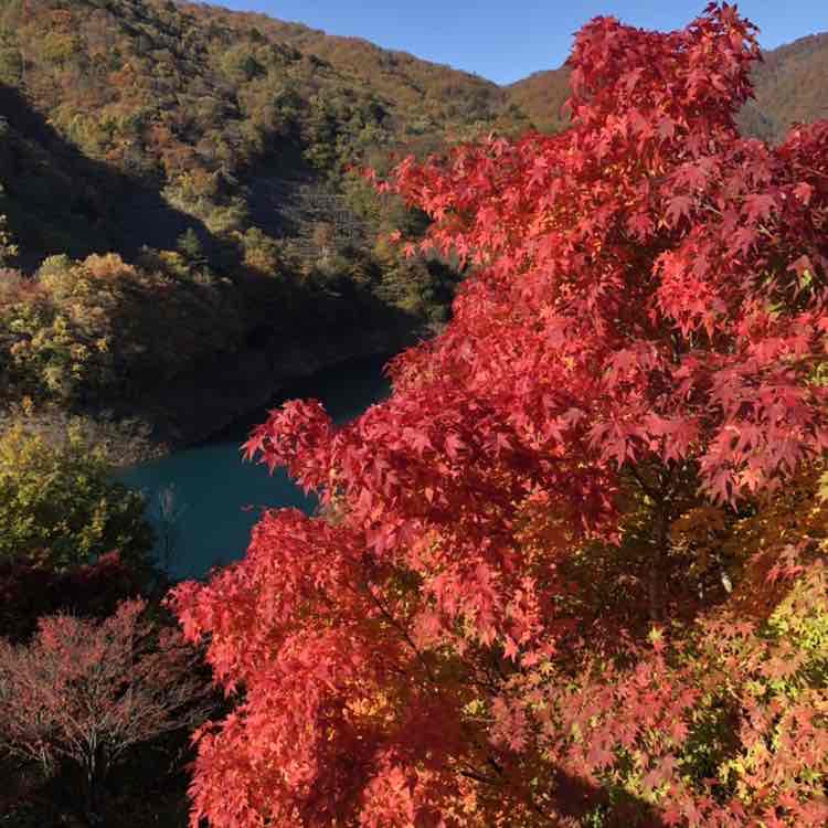 かずとし🏃 post 2