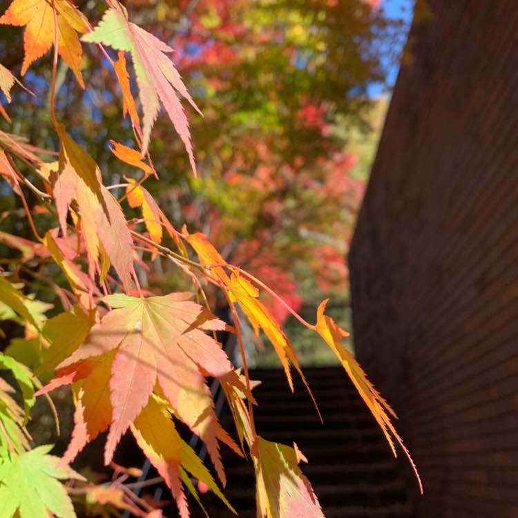 かずとし🏃 post 3