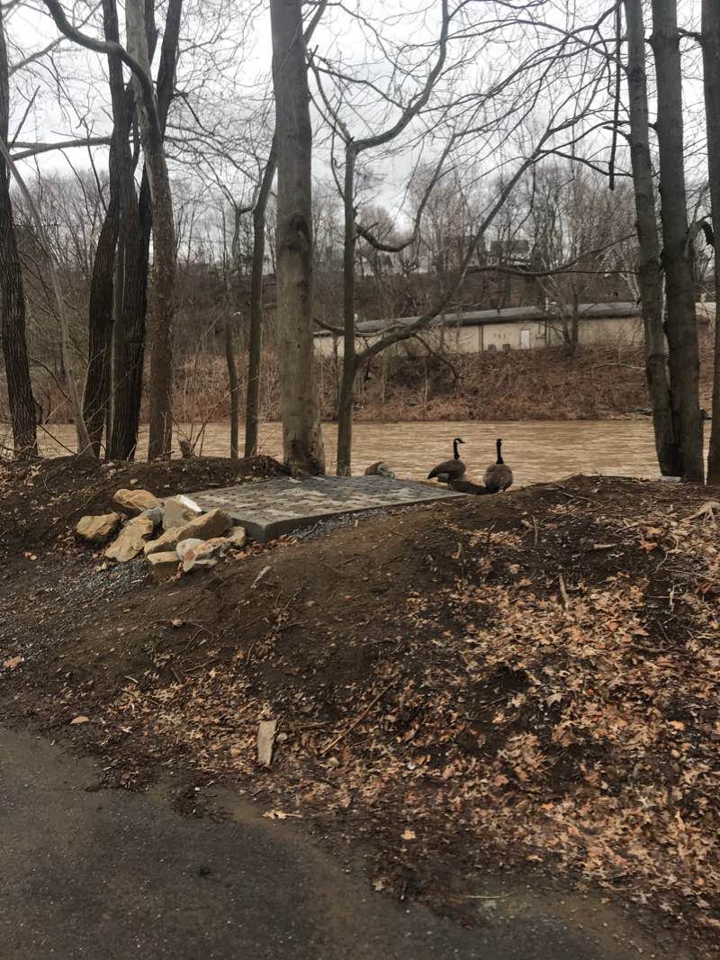 walking near me in Sandyvale Memorial Gardens and Concervency in winter