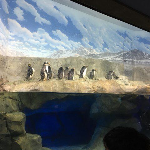 Path to Manliness post 1