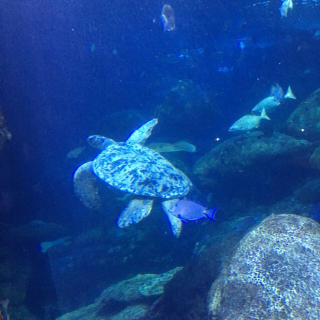 Path to Manliness post 2