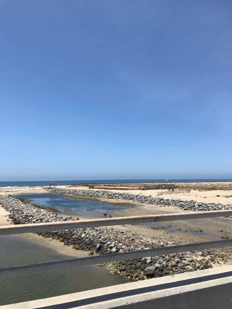 walking near me in West Newport Park in winter