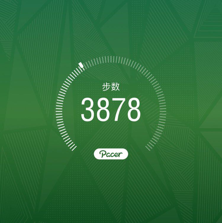 猫头鹰1976 post 1