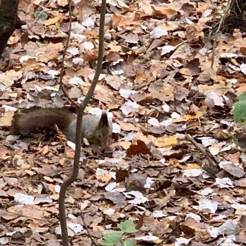 Андрей 👣. 🏃🏿🏃🏿🏃🏿 post 1