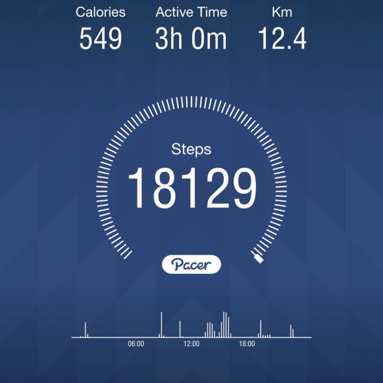 PacerGal_1974 post 1