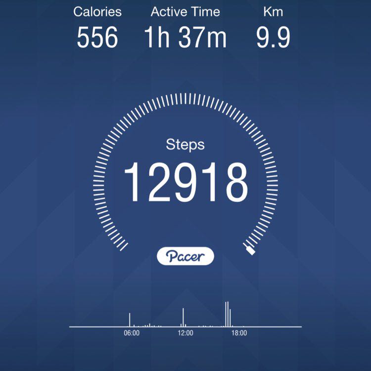 PacerGal_1974 post 1