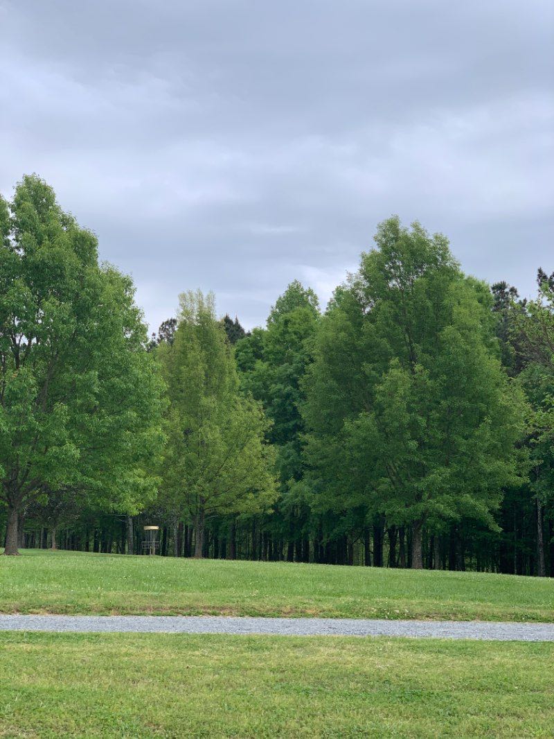 walking near me in Alexander Park in winter