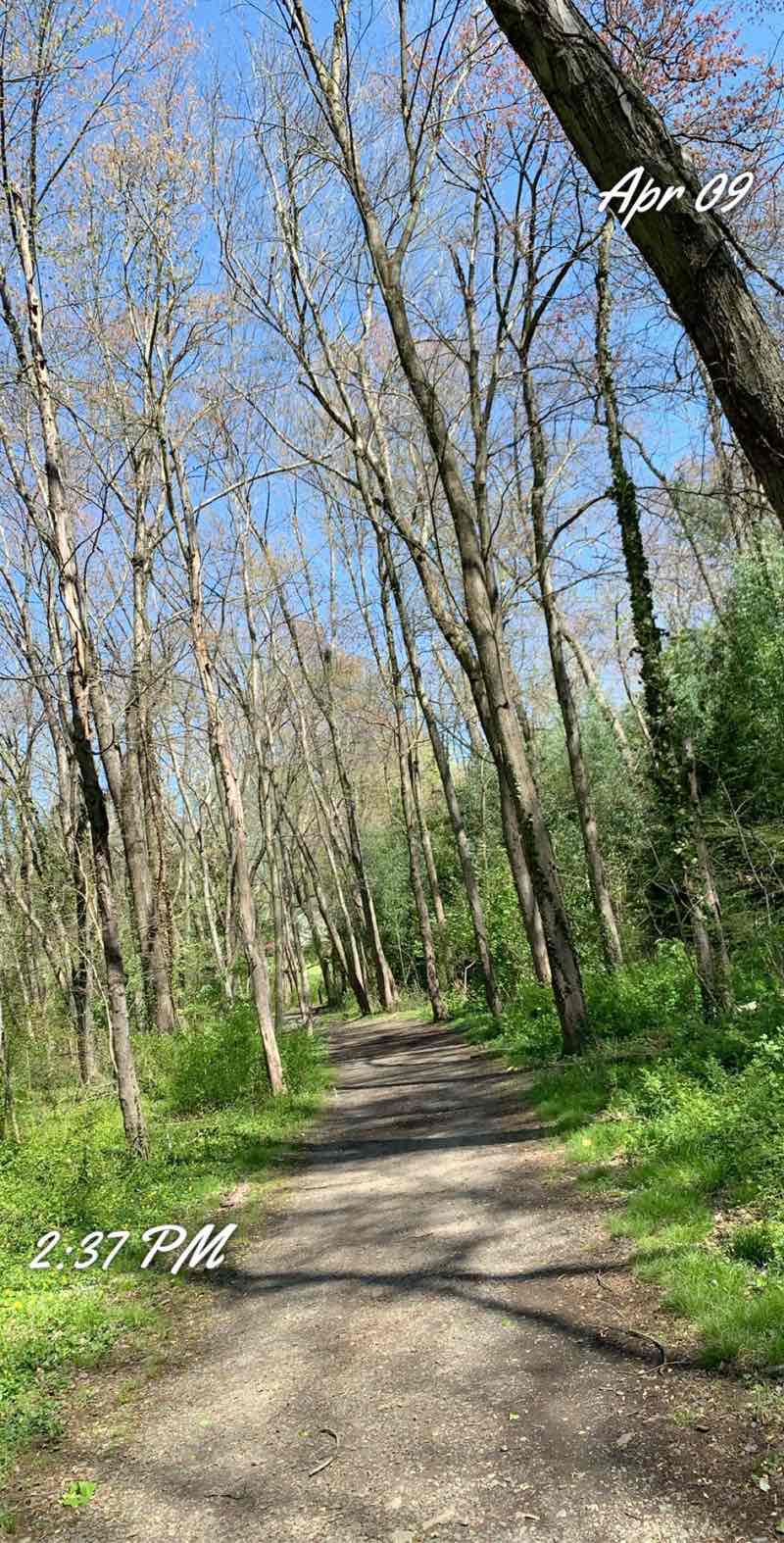 walking near me in Long Branch Stream Valley Park in winter
