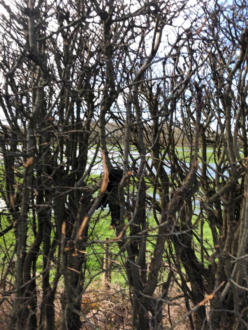 walking near me in Kone Vale in winter