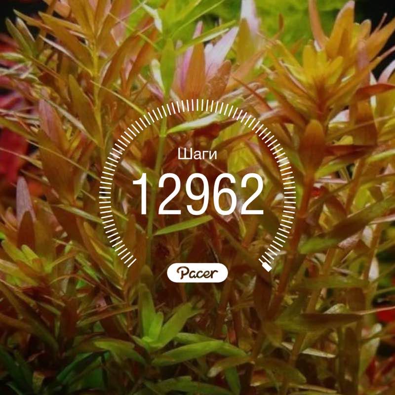 Татьяна post 1