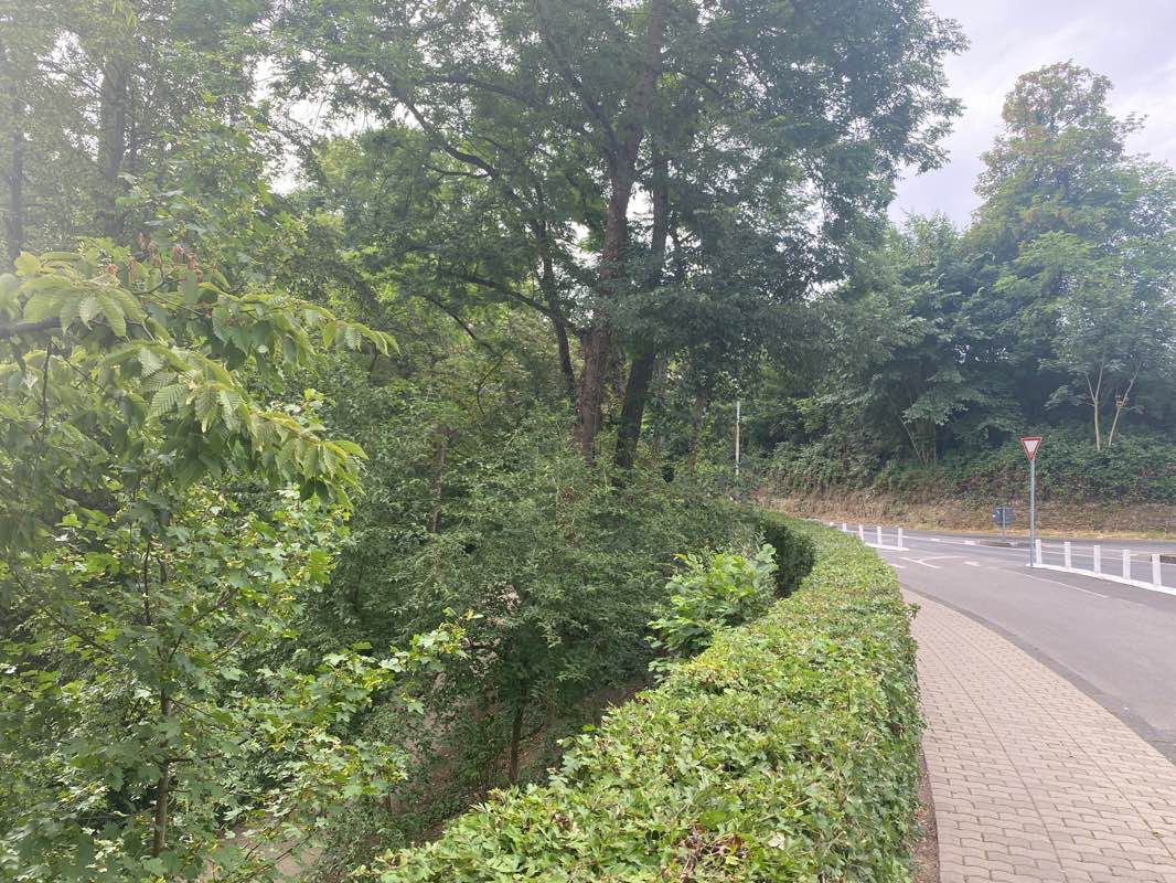 walking near me in Konrad-Adenauer-Ufer in winter