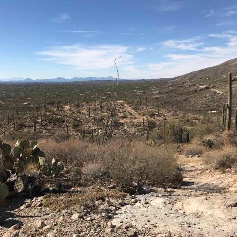 CookieMonster post 1