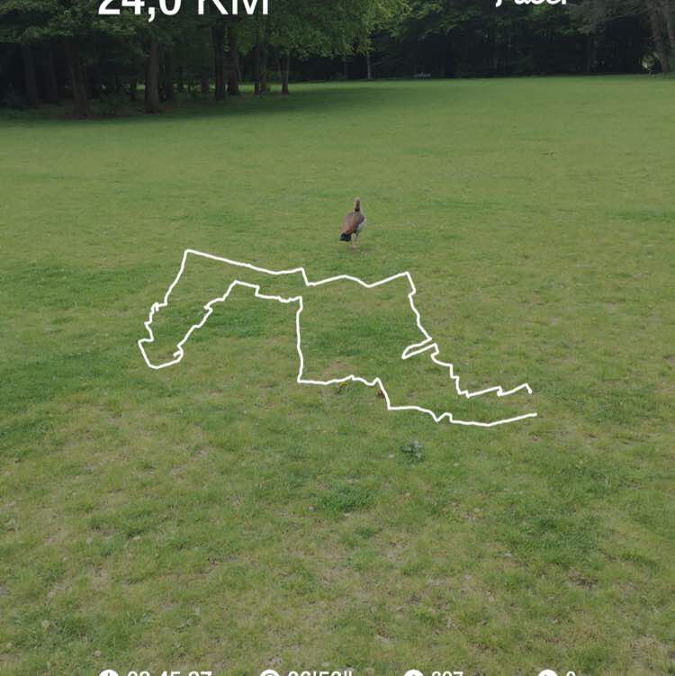 PacerЧувак_1985 post 1