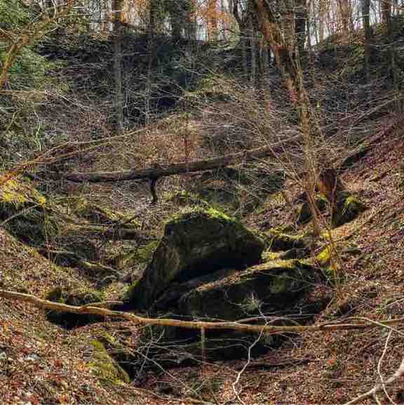 seamonkey sammy post 2