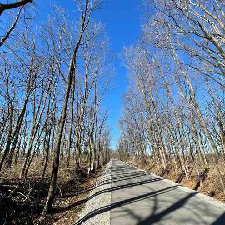 seamonkey sammy post 1