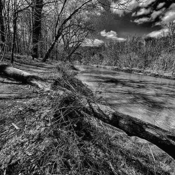 seamonkey sammy post 1