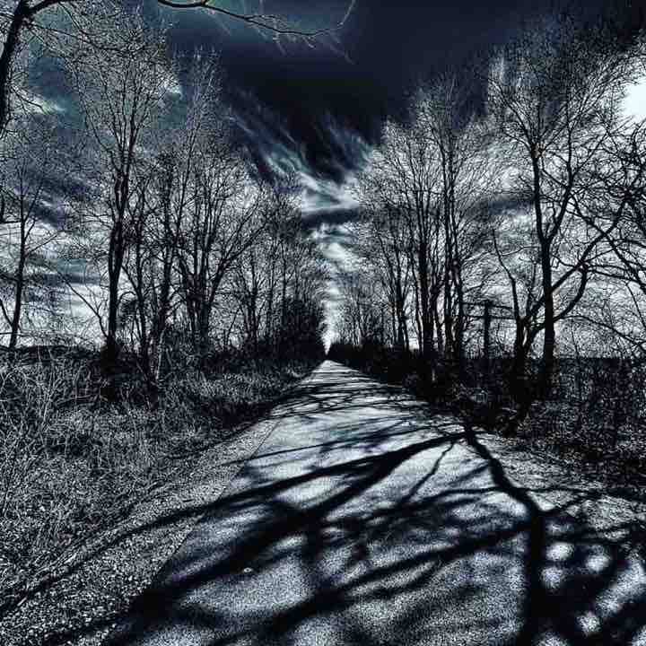 seamonkey sammy post 1