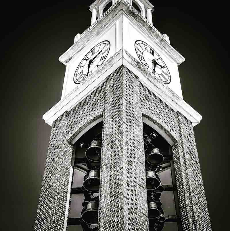 seamonkey sammy post 1