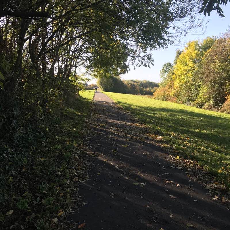 walking near me in Riverside Park in winter