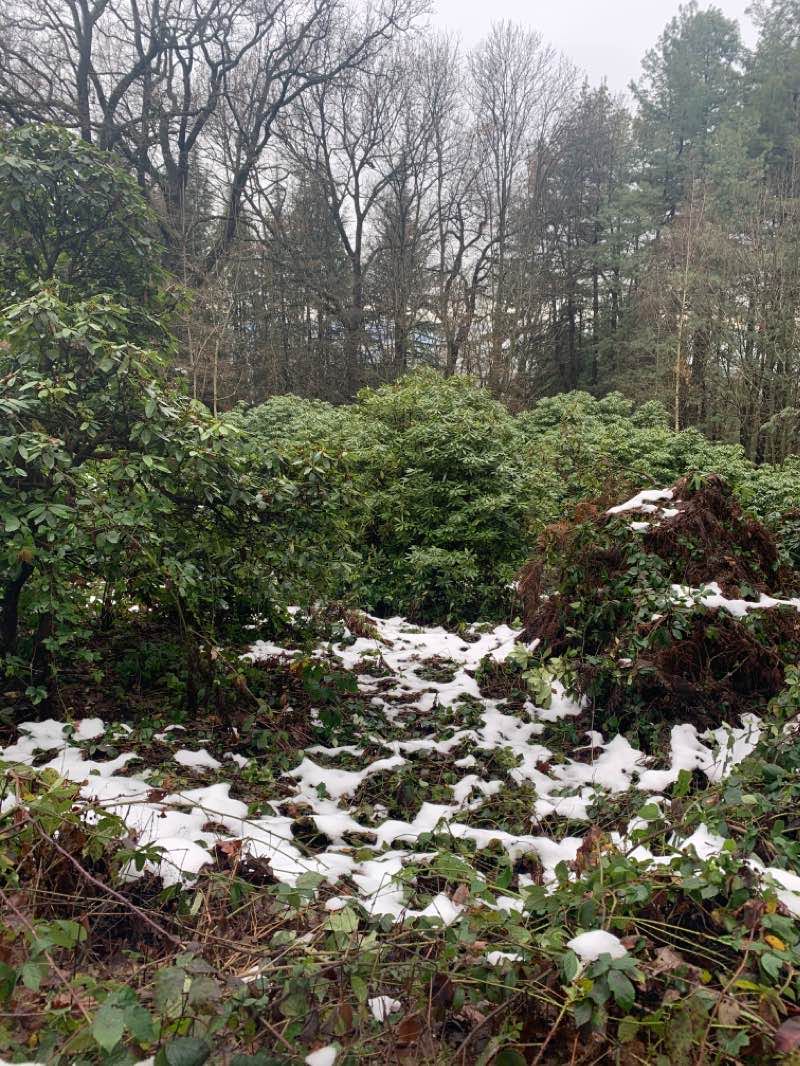 walking near me in Parco San Vito in winter