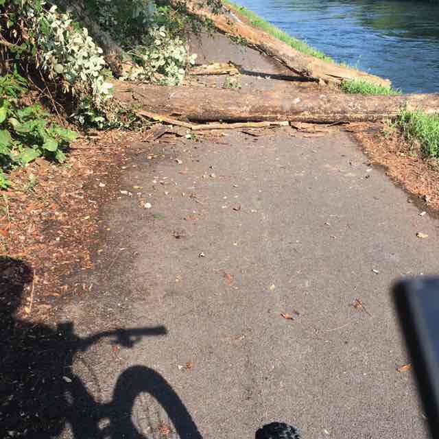 Emilio Luigi Gustavo post 2