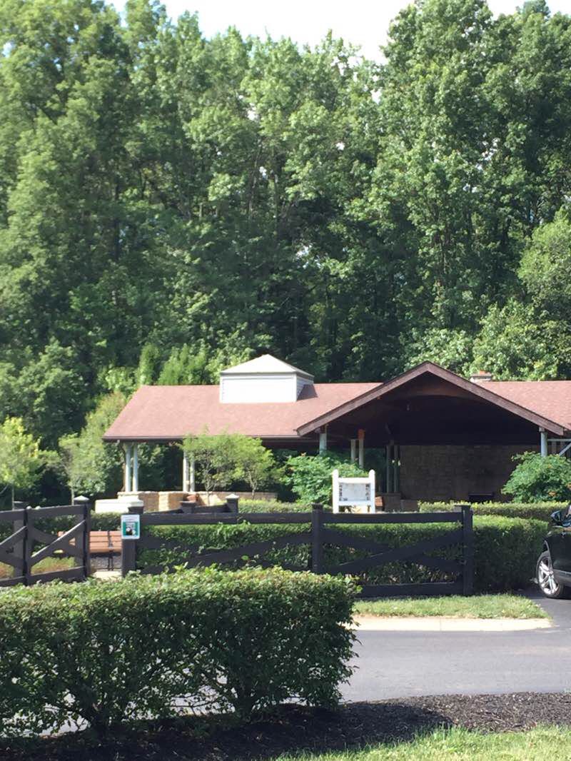 walking near me in McNamara Park in winter