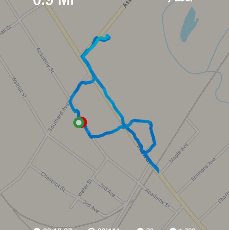 PacerGal_1974 post 1