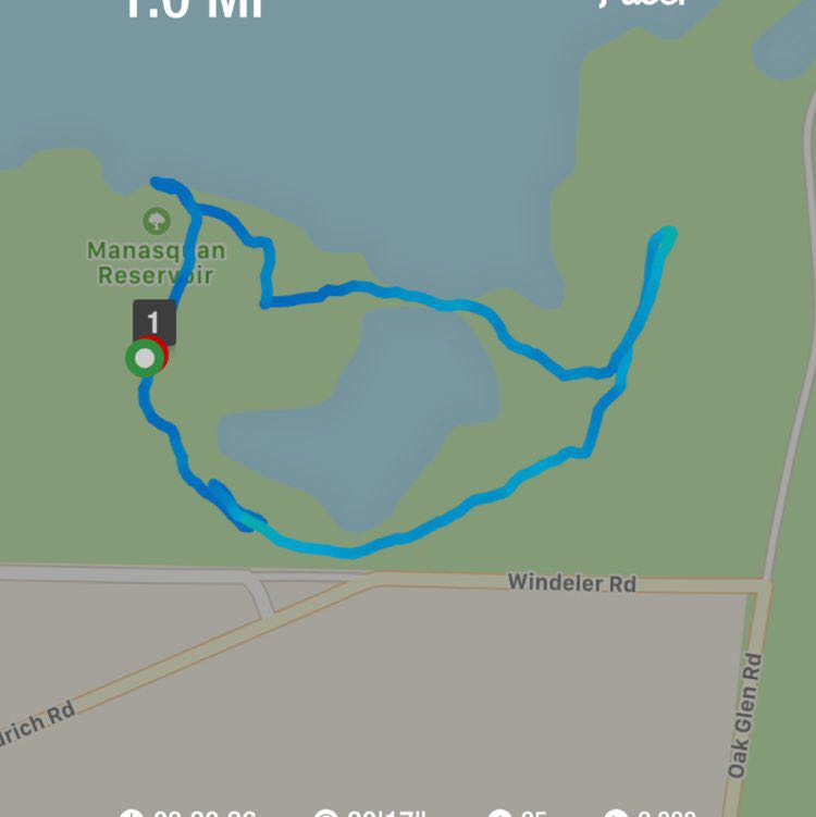 PacerGal_1974 post 1