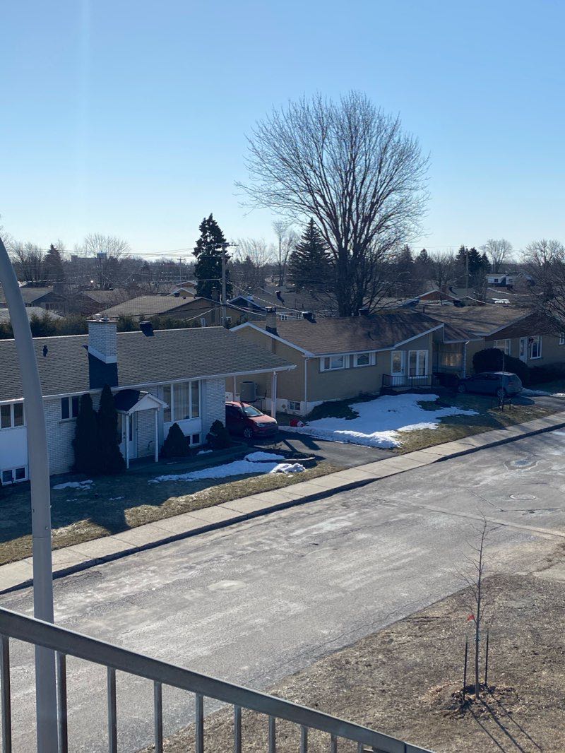 walking near me in Parc Félix-Leclerc in winter