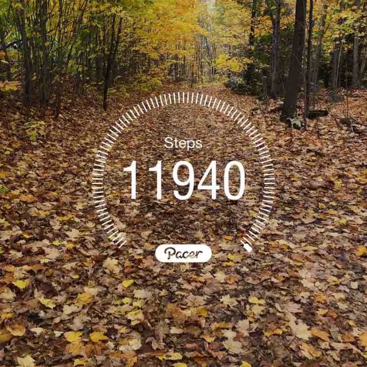 PacerGal_1956 post 1