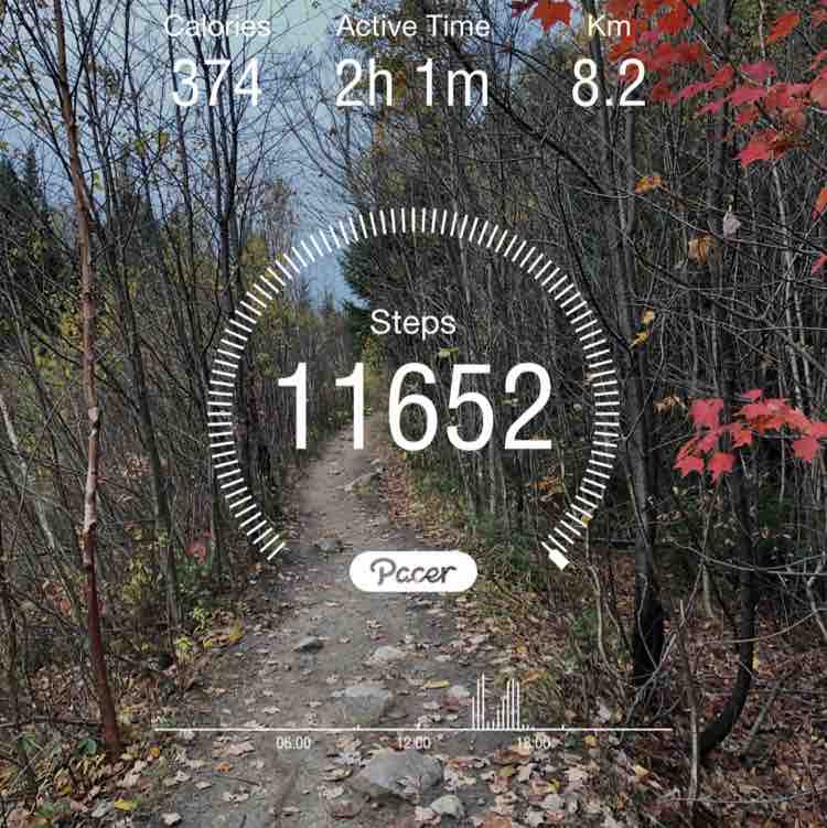 PacerGal_1956 post 1