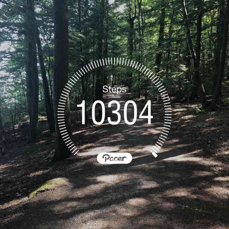 PacerGal_1956 post 1