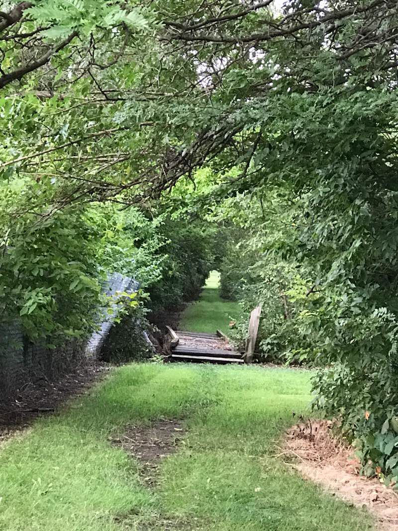 walking near me in North Chisolm Creek Park in winter