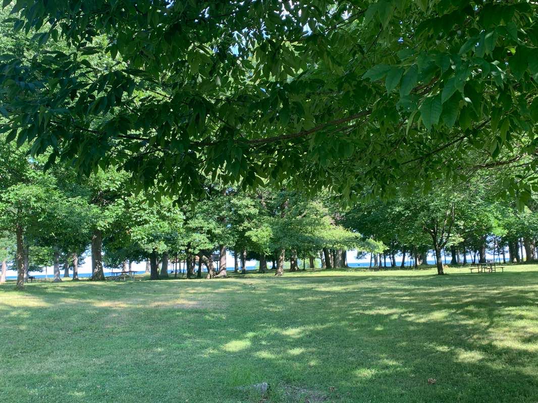 walking near me in Fort Niagara State Park in winter