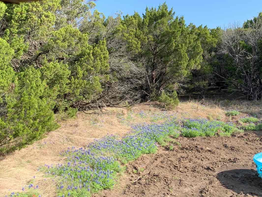 walking near me in Meridian State Park in winter