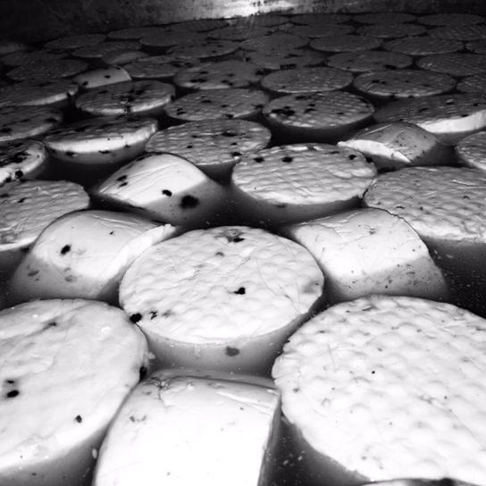 Fatjet Kasemi post 1