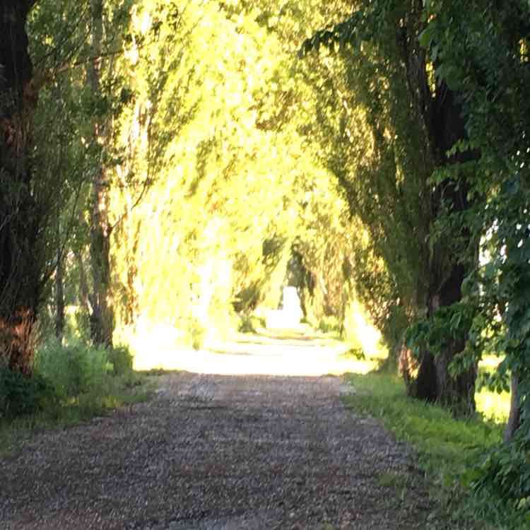 みちよ_1972 post 3