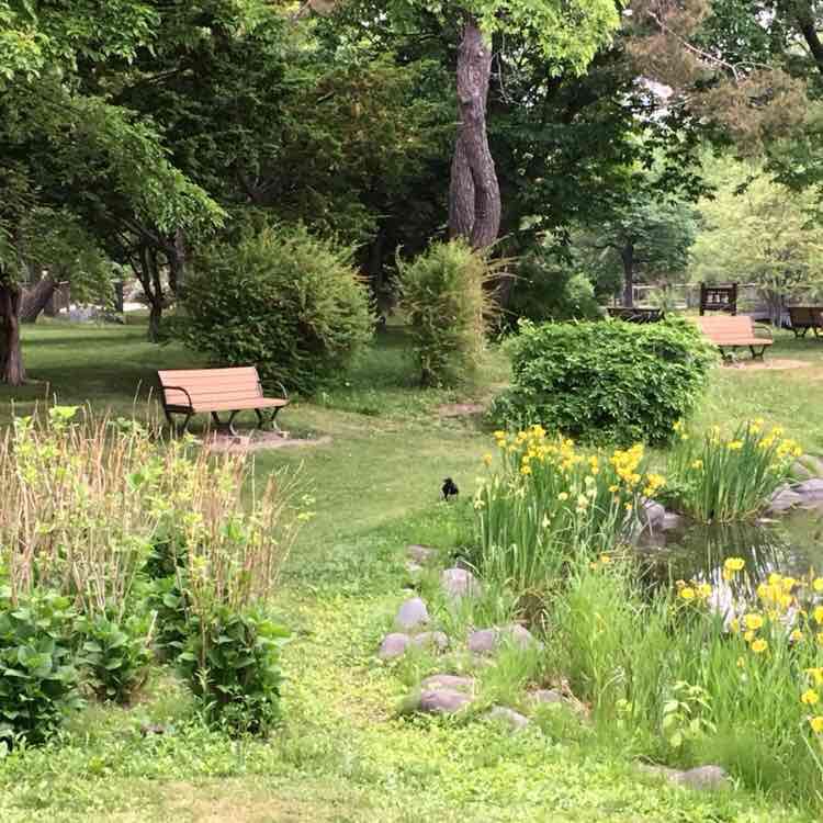 みちよ_1972 post 2