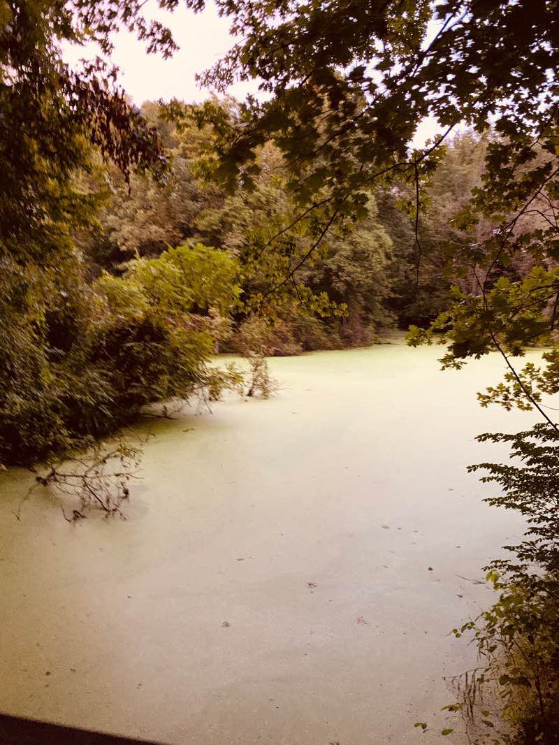 walking near me in Howell Wetlands in winter