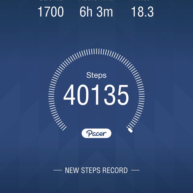 Dragon Prancer post 1