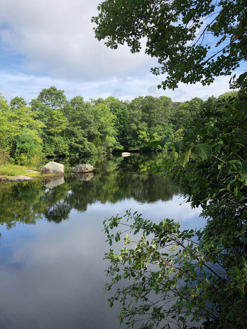 walking near me in Village Park in winter