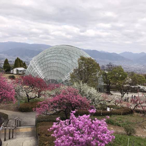 ゆきみ95 ⸜🌷︎⸝‍ post 3