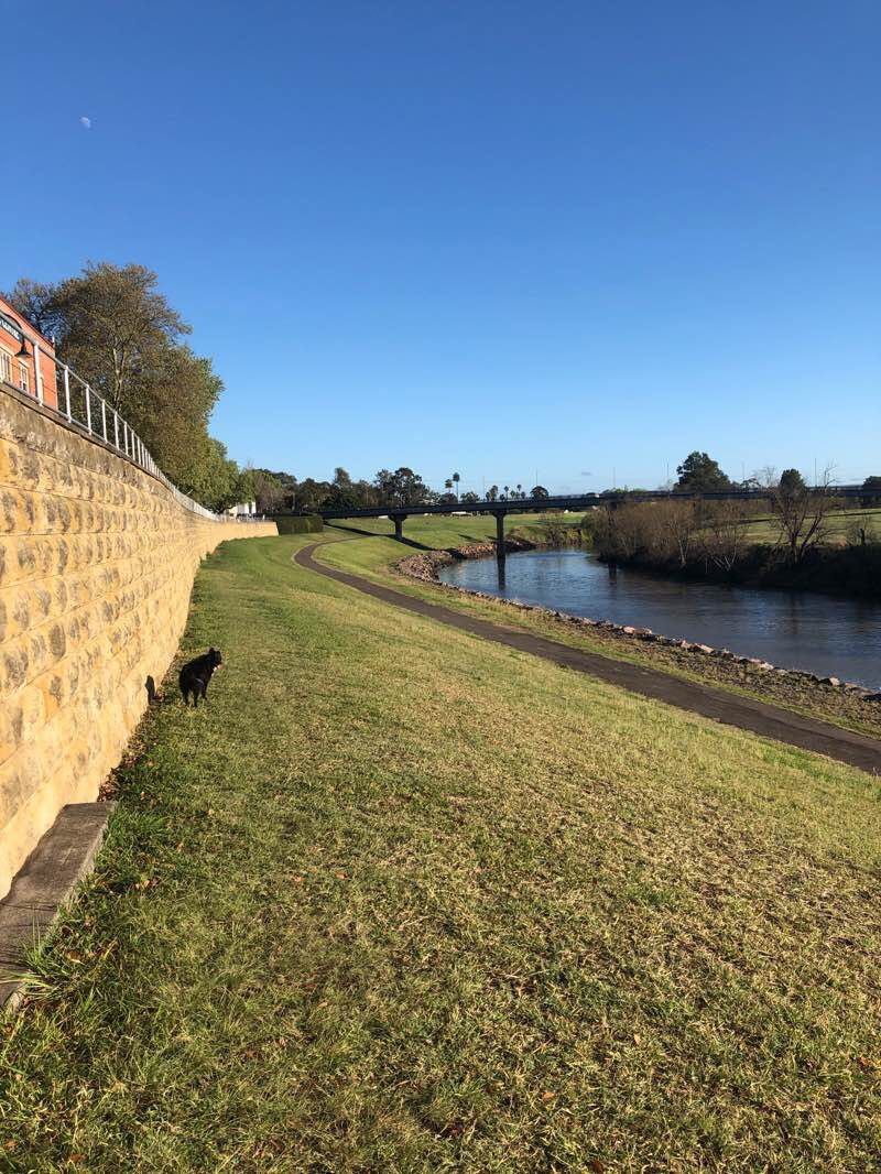 walking near me in Maitland Lion's Park in summer