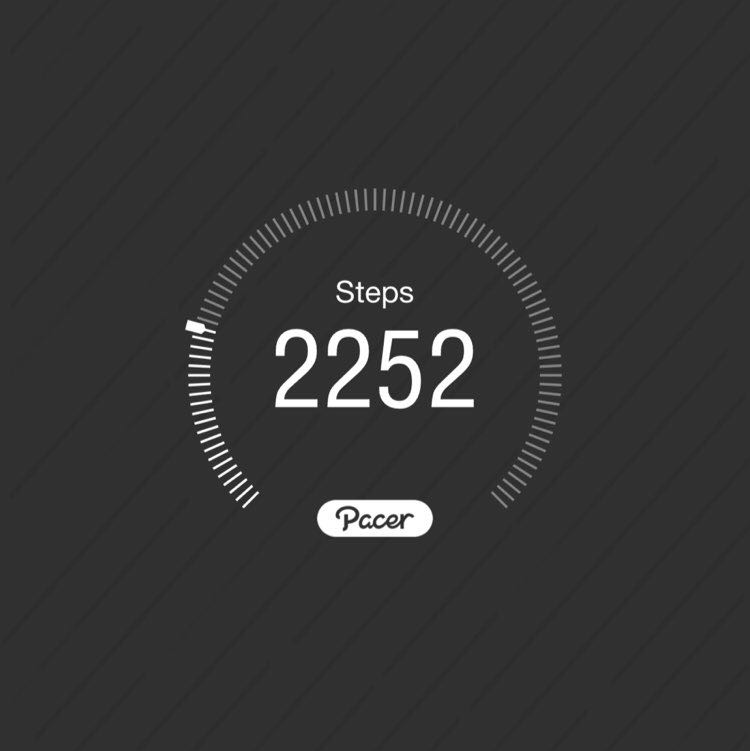 PacerGal_1981 post 1