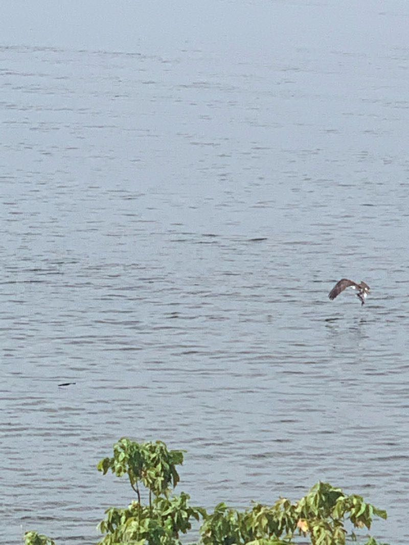 walking near me in Red Bank Battlefield in winter