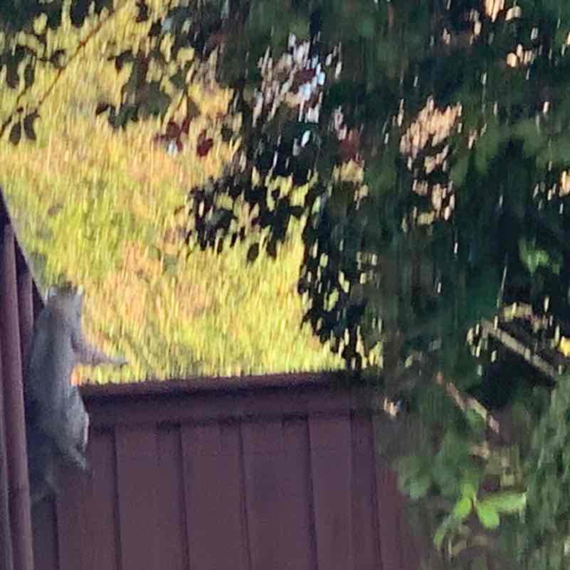 Super Dave Osborne post 3